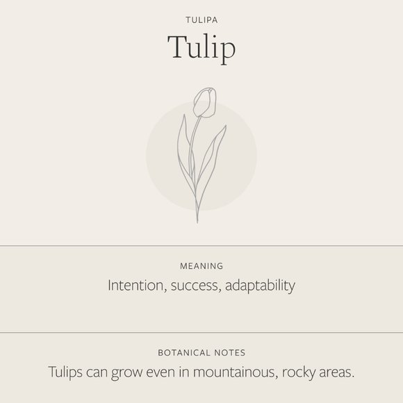 Tulip July Birth Flower Minimalist Charm Necklace - Picture 7 of 16